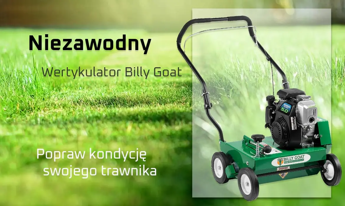 Wertykulatory billy goat